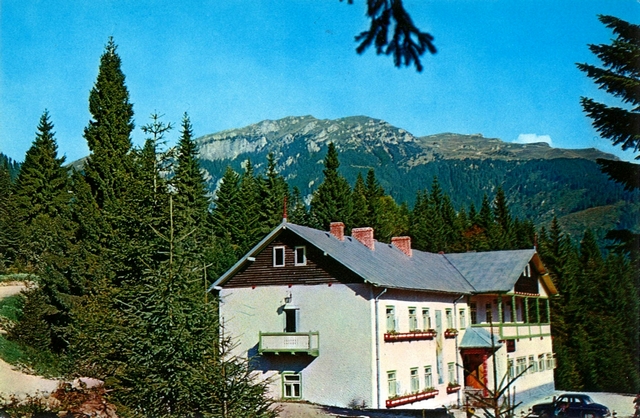 1353 - Sinaia. Cabana Cuibul dorului